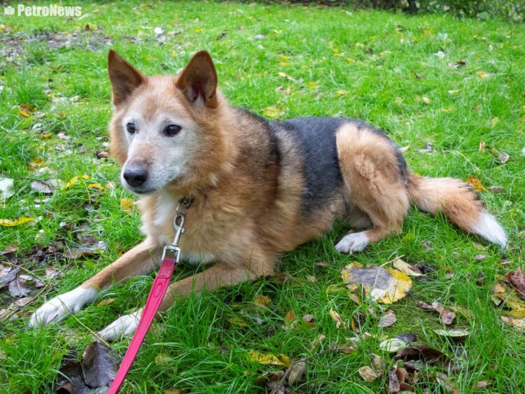 Wigor, fot. Wiktor Pleczyński