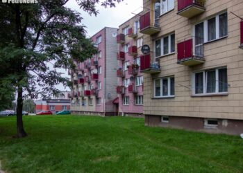 Dewastują klatkę schodową, robią tam libacje. Spółdzielnia nie chce pomóc mieszkańcom [ZDJĘCIA]