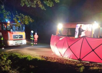 Śmiertelny wypadek w gminie Bielsk. Nie żyje rowerzysta