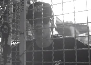 Nowy klip płocczanina. Ma swoją „Teorię chaosu” [TELEDYSK]