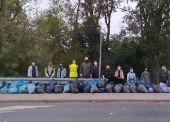 Tysiące butelek i puszek wyrzuconych na teren zielony w Płocku [ZDJĘCIA]