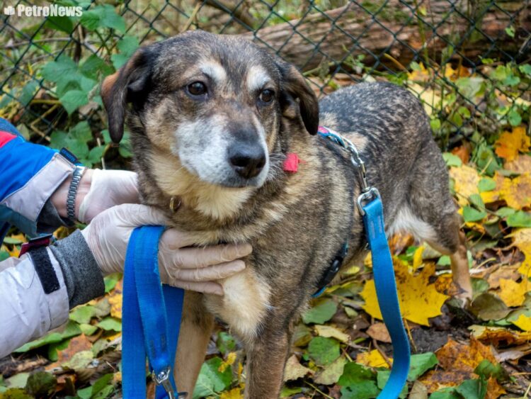 fot. Wiktor Pleczyński