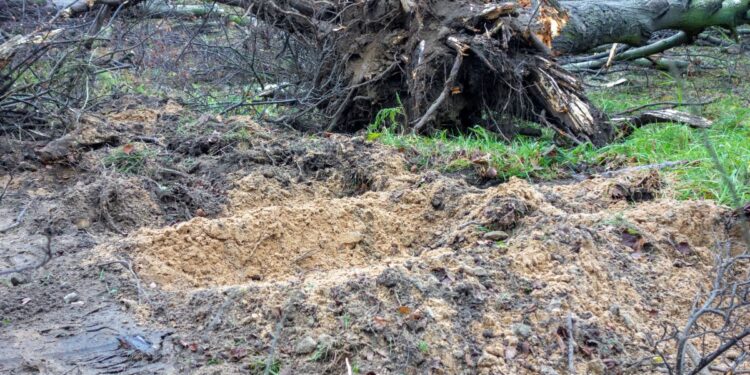 Za 87 wyciętych drzew posadzą 83. Czytelniczka: Mamy tutaj tylko beton [ZDJĘCIA]