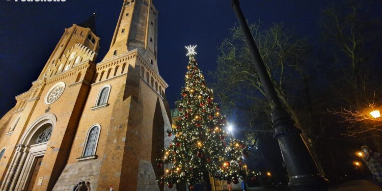 Przy płockiej katedrze rozbłysła choinka [FILM, ZDJĘCIA]