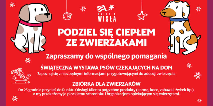 W płockiej galerii dowiecie się, jak adoptować psa. Możecie też pomóc w zbiórce