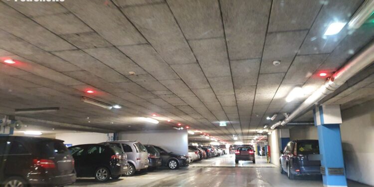 Płocczanie masowo ruszyli do galerii handlowych