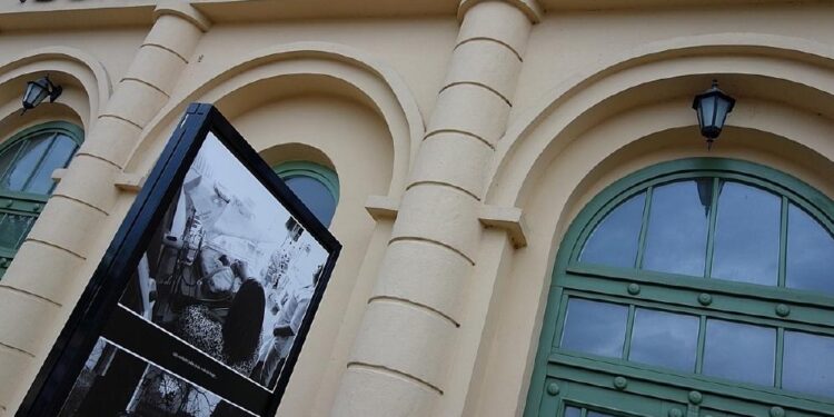 Zawsze chcieliśmy mieć taką Galerię! Przed nami jubileusz 40-lecia Płockiej Galerii Sztuki [ZDJĘCIA]