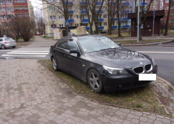 Jak parkują kierowcy w Płocku? Strażnicy miejscy pokazują „mistrzów parkowania” [ZDJĘCIA]