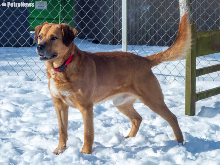 fot. Wiktor Pleczyński