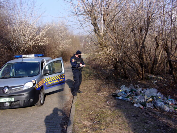 fot. materiały prasowe