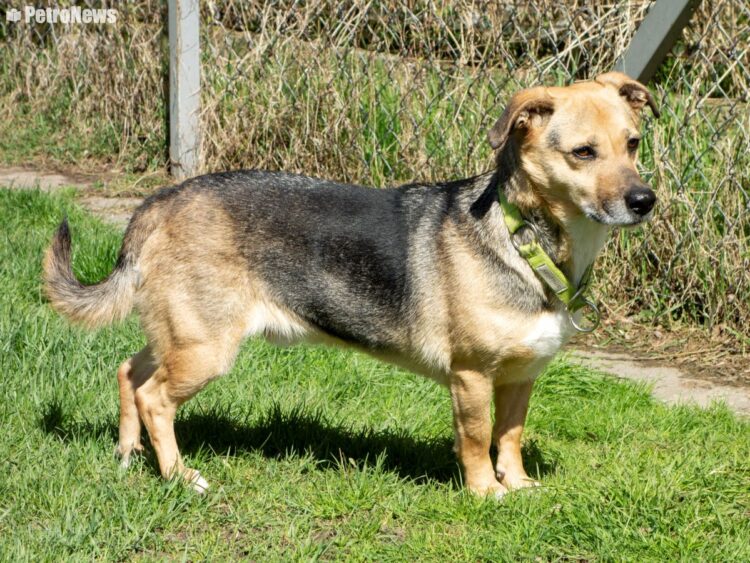 fot. Wiktor Pleczyński