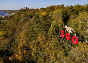 Zmieniła się panorama Płocka. Zniknął kultowy napis