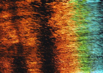 Fotograficzny świat w paski Elżbiety Dzikowskiej w Płockiej Galerii Sztuki