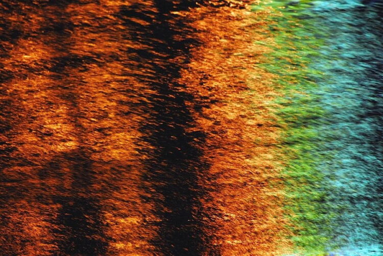 9. fot. Elżbieta Dzikowska