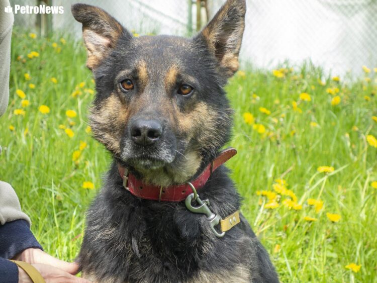 fot. Wiktor Pleczyński