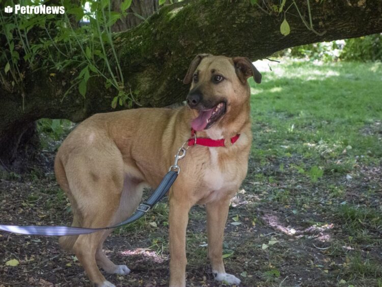 fot. Wiktor Pleczyński