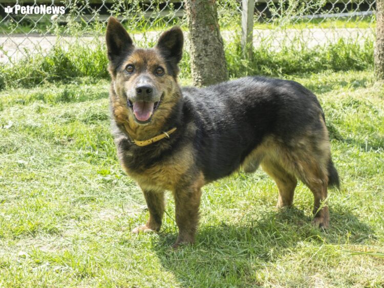 fot. Wiktor Pleczyński