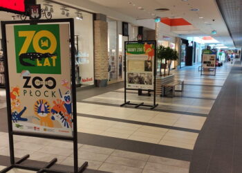 Zwierzęta sprzed 70 lat. Wyjątkowa wystawa z okazji rocznicy powstania zoo