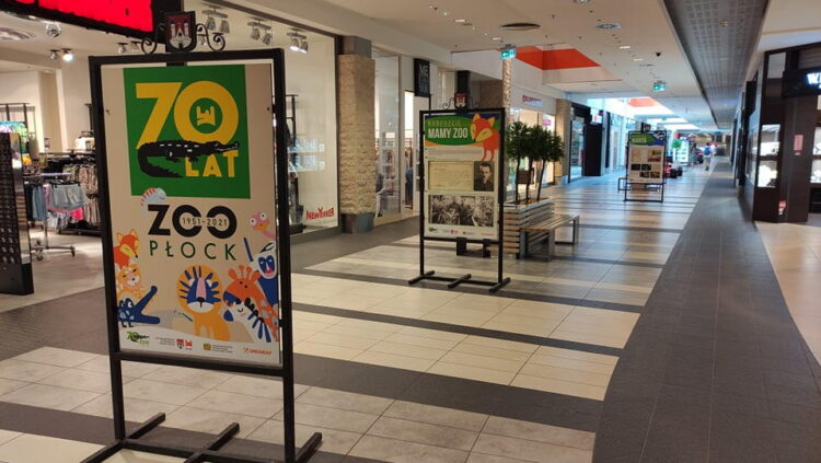 fot. materiały prasowe