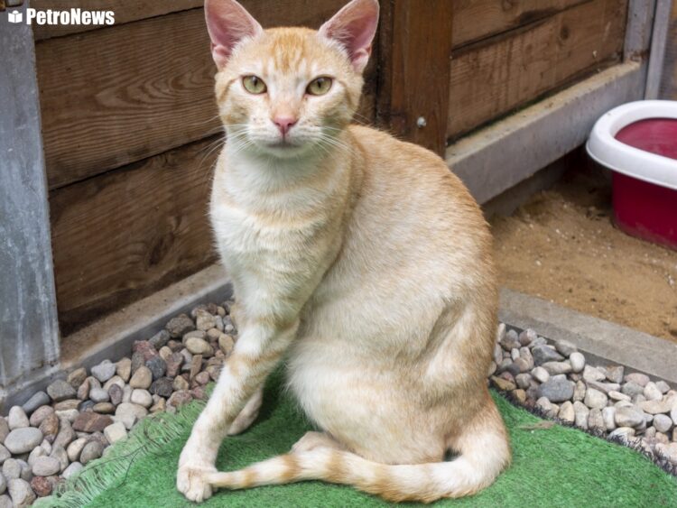 fot. Wiktor Pleczyński