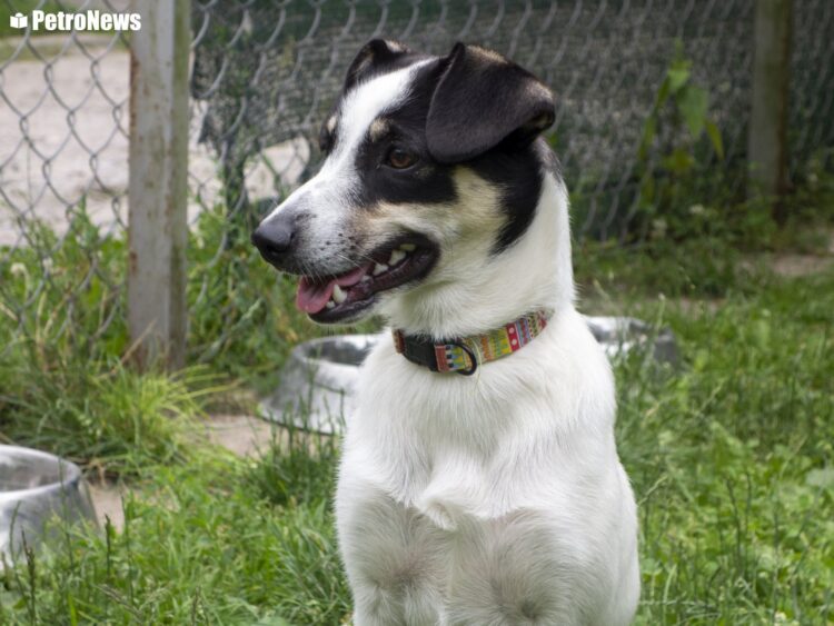 fot. Wiktor Pleczyński