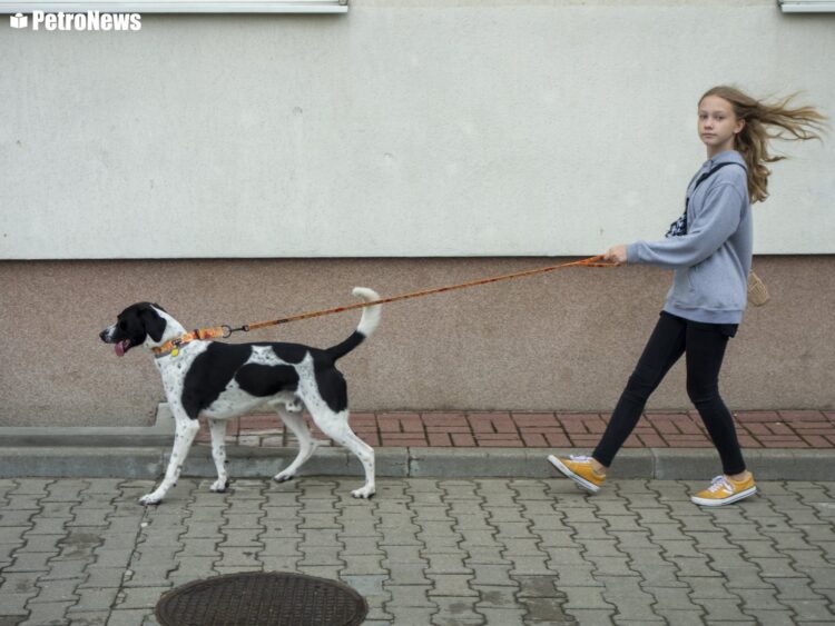 fot. Wiktor Pleczyński