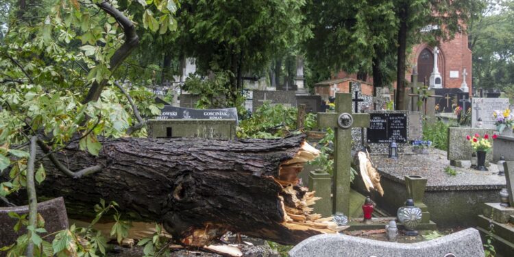 Dramat na płockim cmentarzu. Przewrócone i roztrzaskane nagrobki po burzy [ZDJĘCIA]