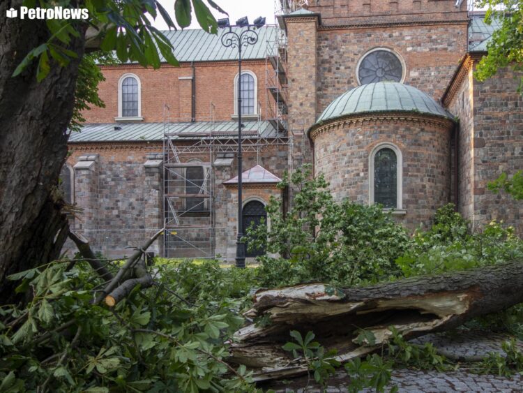 fot. Wiktor Pleczyński