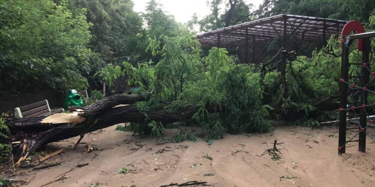 ZOO w Płocku zamknięte. Są zniszczenia po burzy