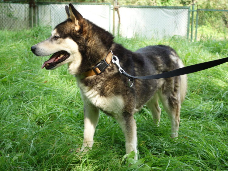 fot. Wiktor Pleczyński