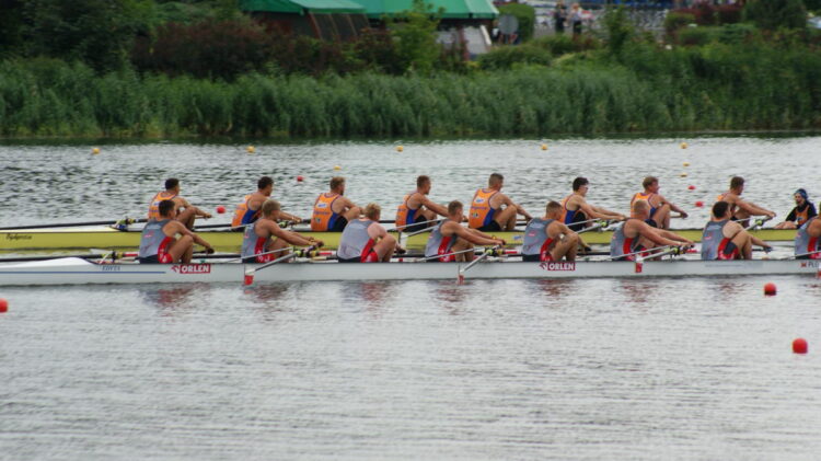 fot. materiały prasowe