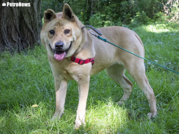 fot. Wiktor Pleczyński