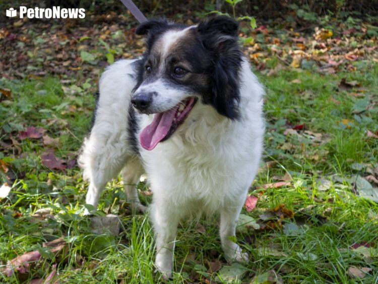 fot. Wiktor Pleczyński