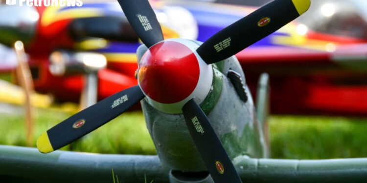 Impreza wysokich lotów w Płocku. Latawce pokazały się na niebie [ZDJĘCIA]