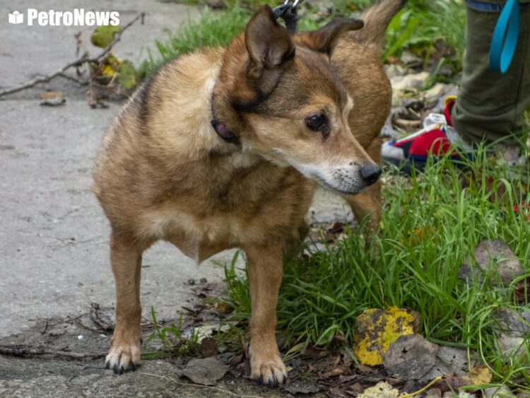 Fot. Wiktor Pleczyński