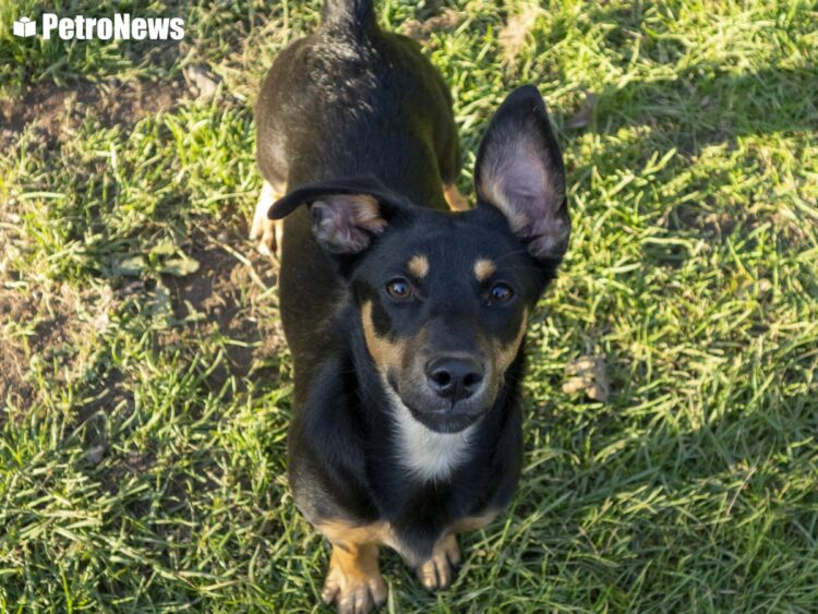 fot. Wiktor Pleczyński