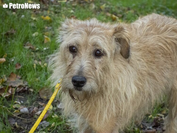 fot. Wiktor Pleczyński