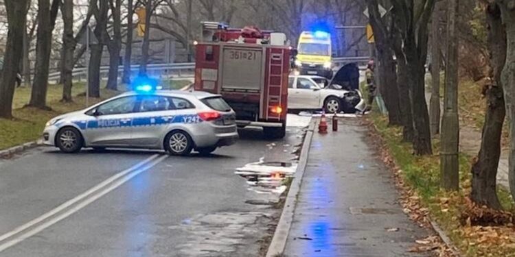 Autem uderzyła w drzewo. Dostała mandat [ZDJĘCIA]