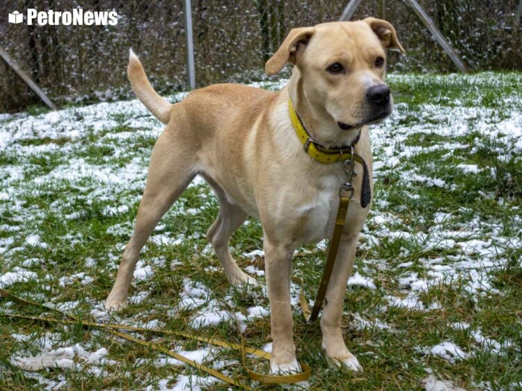 fot. Wiktor Pleczyński