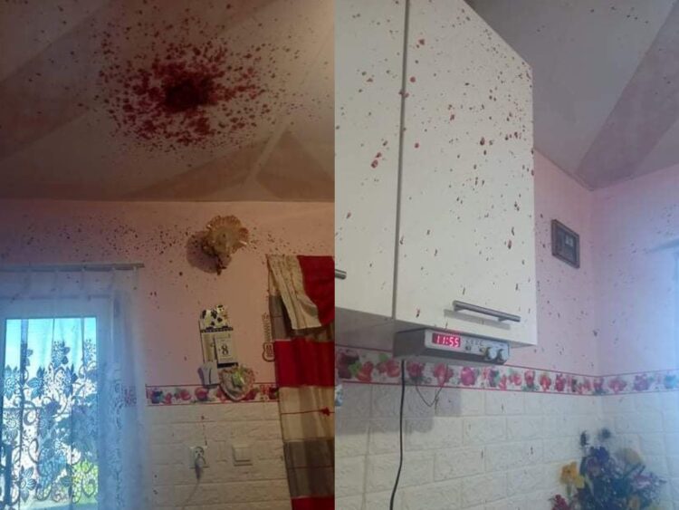 Zdjęcie przesłane przez czytelniczkę