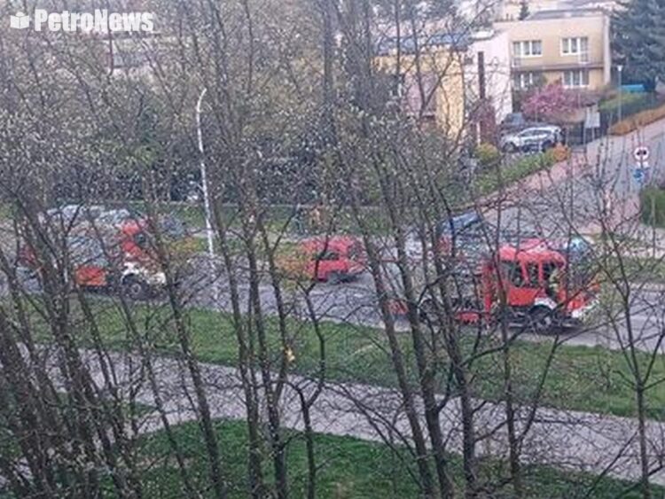 Zdjęcie przesłane przez czytelniczkę