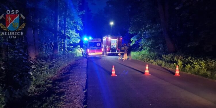 Auto wypadło z drogi. „Z niewyjaśnionych przyczyn zjechał na pobocze i otarł się o drzewo”