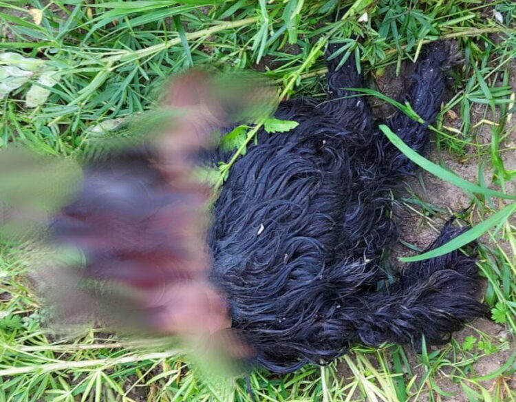 fot. Koło Łowieckie Wisła