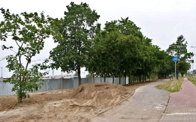 Fot. Nowy Zielony Płock, Jarosław Cybulski