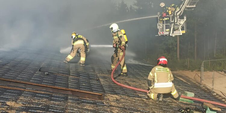 Policja bada przyczyny pożaru płockiego szpitala. Są pierwsze ustalenia [ZDJĘCIA]