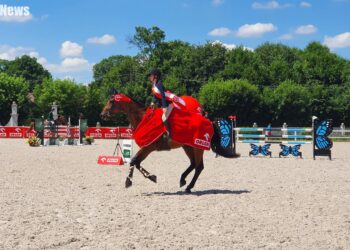 Grand Prix zawodów w skokach przez przeszkody zdobyła 16-latka [FILM, ZDJĘCIA]