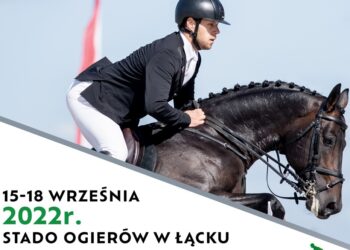 Cztery dni mistrzostw w Łącku. Pokażą się hodowcy z całego kraju
