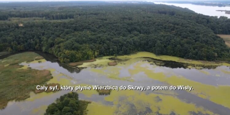 Ścieki na dopływie Wisły, w parku krajobrazowym. Co ustalili dziennikarze?