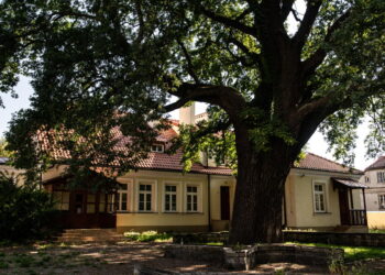 Płoccy aktorzy zapraszają na spacer performatywny śladami Broniewskiego