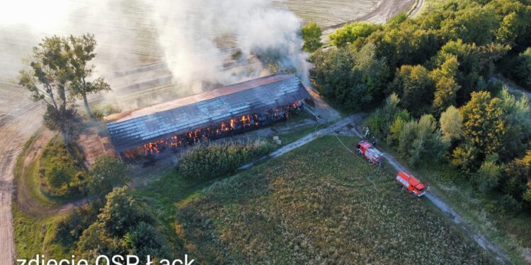 Spłonęło siano i słoma dla koni łąckiego Stada Ogierów. Za wskazanie sprawców nagroda [ZDJĘCIA]